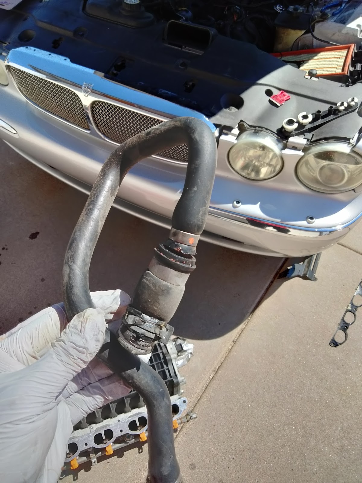 A gloved hand holding an old hose in front of a Jaguar's chrome grille