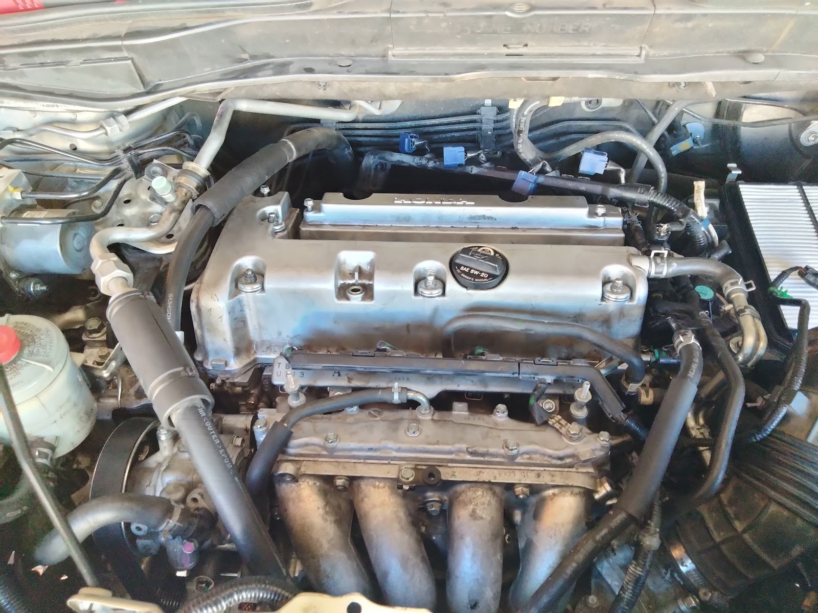 A Honda engine bay serviced and buttoned back up, silver valve cover clean