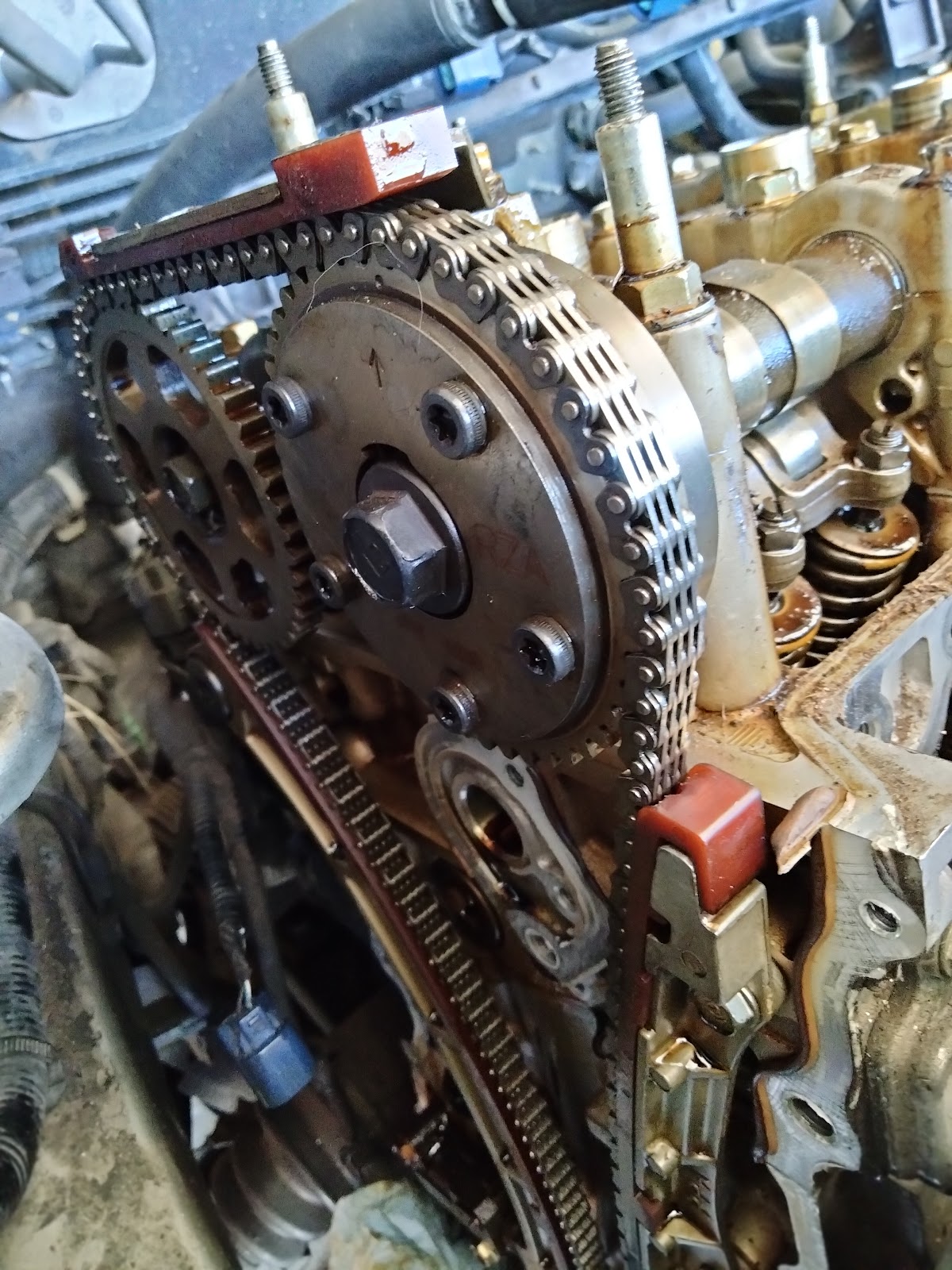 Timing chain and sprockets exposed during engine work